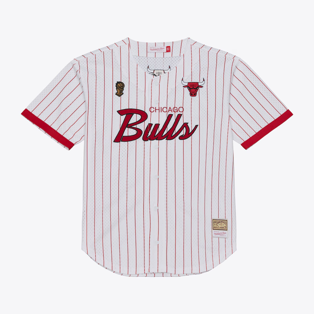 tuec C.Bulls Mitchell & Ness White Head Coach Pinstripe Mesh Full-Button Baseball Jerseys