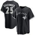 tuec T.Blue Jays #25 Anthony Santander Player Black City Connect Limited Stitched Jerseys